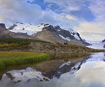 Saskatchewan Glacier, Athabasca Glacier, Mount Athabasca, and Mount Andromeda, Jasper National Park, Alberta, Canada