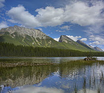 Endless Chain Ridge, Honeymoon Lake, Jasper National Park, Alberta, Canada
