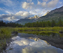 Opal Range, Kananaskis Country, Alberta, Canada