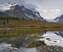 Saskatchewan Glacier, Mount Athabasca, Mount Andromeda Athabasca Glacier, Jasper National Park, Alberta, Canada