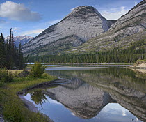 Colin Range, Athasca River, Jasper National Park, Alberta, Canada