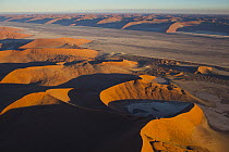 Red sand dunes, Tsauchab River Valley near Sossusvlei, Namib-Naukluft National Park, Namib Desert, Namibia