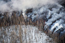 Lava flow burning forest, Tolbachik Volcano, Kamchatka, Russia