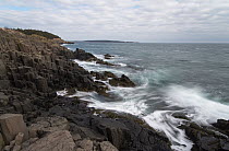 Columnar basalt on coast, Bay of Fundy, Nova Scotia, Canada