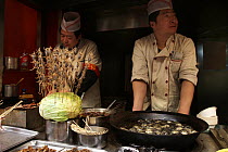 Scorpions skewered for sale as food, Xiao Chi Jie Market, Beijing, China