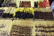 Scorpions, seahorses, spiders, starfish, and insects scewered for sale as food, Xiao Chi Jie Market, Beijing, China