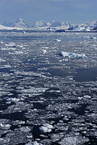 Pack ice, Antarctic Peninsula, Antarctica