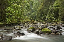 Tawau River flowing through lowland rainforest, Tawau Hills Park, Sabah, Borneo, Malaysia