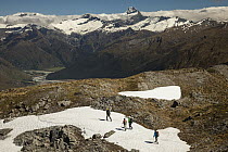 Trekkers on Buchanan Peaks looking towards Mount Aspiring, Lake Wanaka, New Zealand