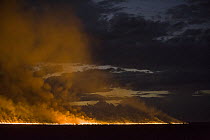 Savanna fire, Santa Ana del Yacuma, Bolivia