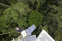 Scientist measuring gas emissions on tower above the tropical rainforest canopy, Barro Colorado Island, Panama