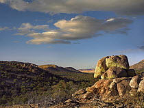 Rockpile, Davis Mountains, Chihuahuan Desert, Texas
