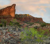 Sandstone cliffs, Caprock Canyons State Park, Texas