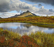 Pond and Ogilvie Mountains, Tombstone Territorial Park, Yukon, Canada
