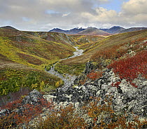 River flowing through tundra, Ogilvie Mountains, Tombstone Territorial Park, Yukon, Canada