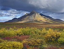 Ogilvie Mountains, Tombstone Territorial Park, Yukon, Canada