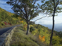 Skyline Drive, Shenandoah National Park, Virginia