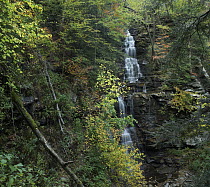 Ganoga Falls, Ricketts Glen State Park, Pennsylvania