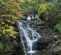 Delaware Falls, Ricketts Glen State Park, Pennsylvania