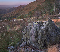Blue Ridge Range from Fishers Gap, Shenandoah National Park, Virginia