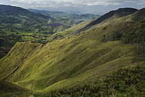 Clear cut mountains, Mount Kiamo, Mindanao Island, Philippines