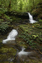 Stream cascading through primary forest, Kubah National Park, Borneo, Malaysia