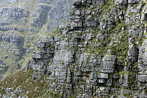 Sandstone cliffs, Table Mountain, Cape Town, South Africa