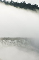 Deception Pass Bridge in fog seen from North Beach, Whidbey Island, Deception Pass State Park, Washington