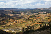 Rice (Oryza sativa) terraces and villages in highlands, Madagascar