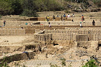 People manufacturing bricks, Fianarantsoa Province, Madagascar