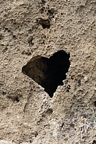 Heart shaped hole in volcanic rock, Cyprus