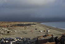 Coastline with abandoned rusting barrels, Wrangel Island, Russia