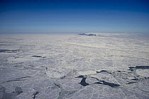 Pack ice, Wrangel Island, Russia