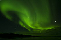 Green luminescence of the aurora borealis atmospheric pheno menon, Wrangel Island, Russia