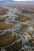 Meandering streams and tributaries through tundra, Wrangel Island, Russia