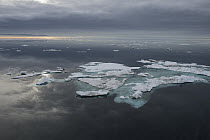 Floating ice floe on ocean, Wrangel Island, Russia