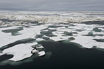 Floating ice floes and pack ice, Wrangel Island, Russia