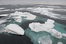 Floating ice floes on ocean surface, Wrangel Island, Russia