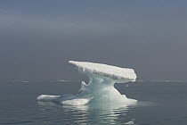 Floating iceberg melted into an anvil shape, Wrangel Island, Russia