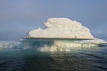 Floating iceberg with overhanging shelf, Wrangel Island, Russia