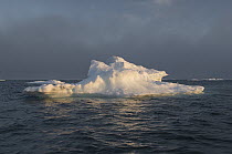 Floating iceberg, Wrangel Island, Russia