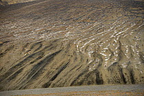 Erosion patterns on hillside, Wrangel Island, Russia