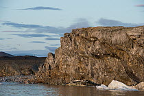 Cliff face along shoreline, Wrangel Island, Russia
