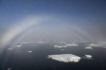 Fog bow over ice floes, Wrangel Island, Russia
