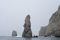 People in Zodiac boat investigating sea stack, Wrangel Island, Russia