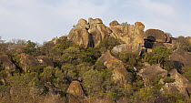 Granite boulders, Matopos Hills, Matobo National Park, Zimbabwe