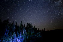Stars at night, Mount Hood Naitonal Forest, Oregon