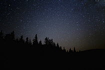 Stars at night, Mount Hood Naitonal Forest, Oregon