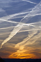 Vapor trails from airplanes at sunset, Germany