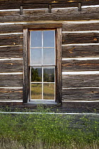 Whitcomb-Cole Hewn Log House window, these houses are an example of early pioneer homes built in the 1890's, Conboy Lake National Wildlife Refuge, Washington